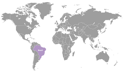 Doterra Copaiba olaj touch 10 ml Brazil beszerzés