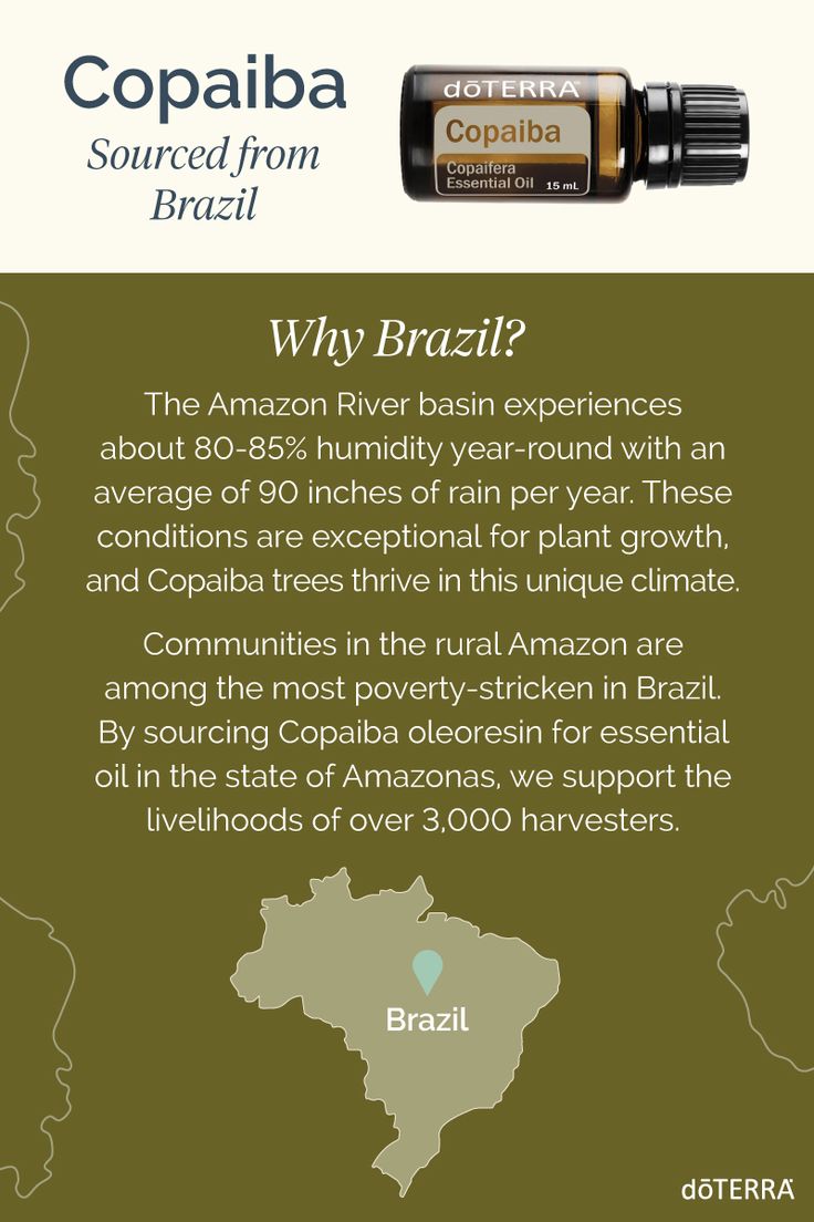 Doterra Copaiba olaj touch 10 ml Brazil beszerzés