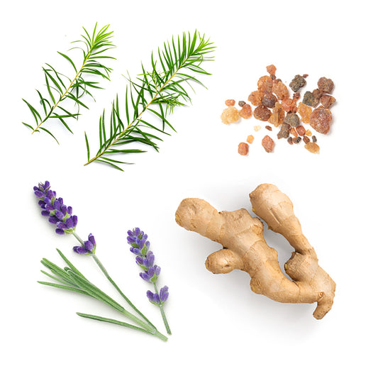 correctx whats inside 1085x1050 eu