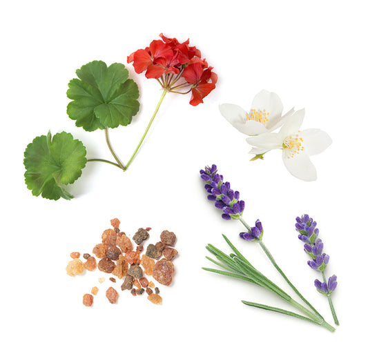 60203368 doterra hidratalokrem összetevői