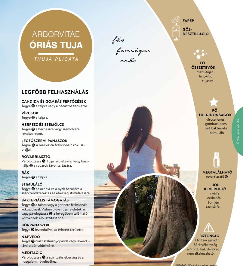 esszencialis elet betekinto