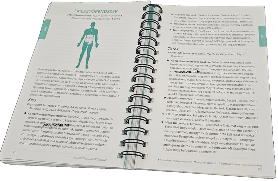 esszencialis erzelmeink minta