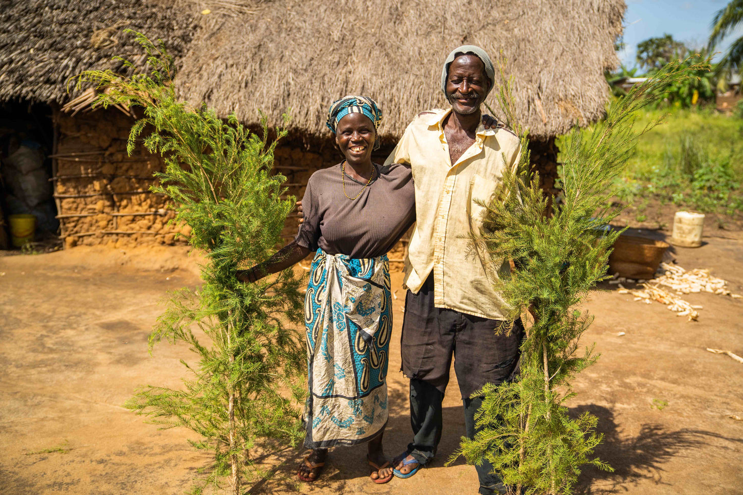 Doterra Teafa (Tea tree) illóolaj 15 ml