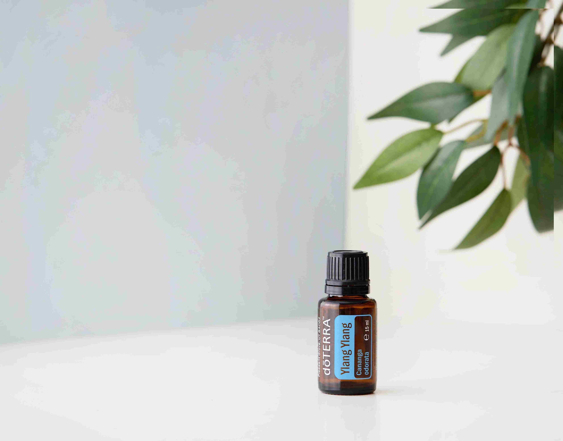Doterra - Ylang ylang