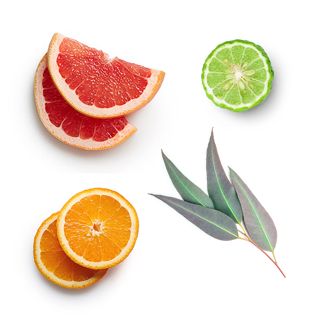 Doterra Endless Summer Hair & Body Mist what is inside